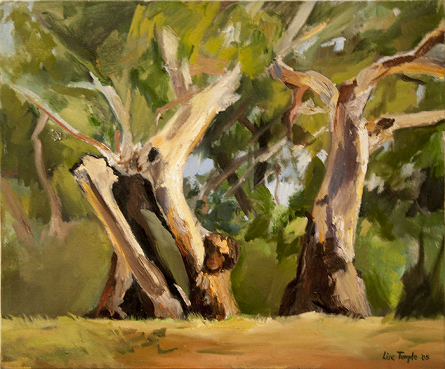 Lise Temple - Late Afternoon, Burra Gorge - Oil - $1200