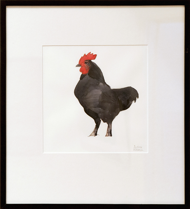 Alison Mitchell - Black Cockerel - Watercolour $500 