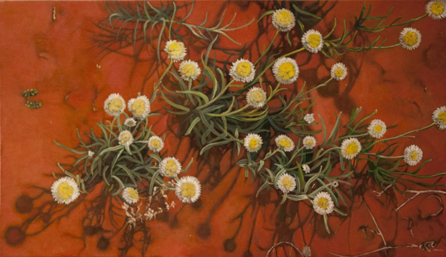 Felicity Martin - Poached Egg Daisies - Acrylic - $695