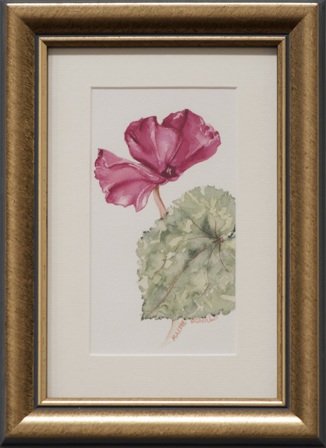 Maxine Donald - Cyclamen - Watercolour - $110