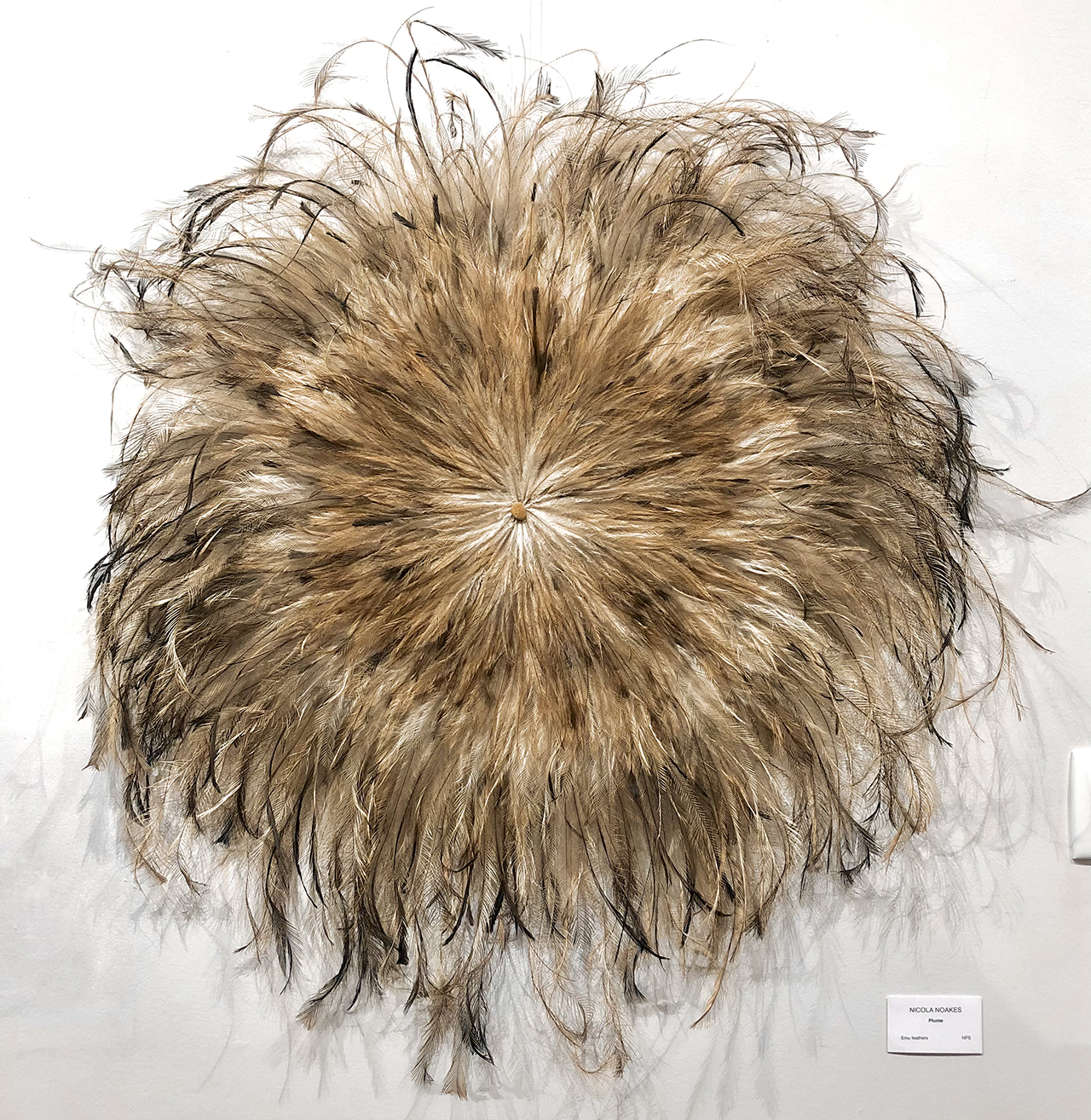 Nicola Noakes Plume Gathered emu feathers